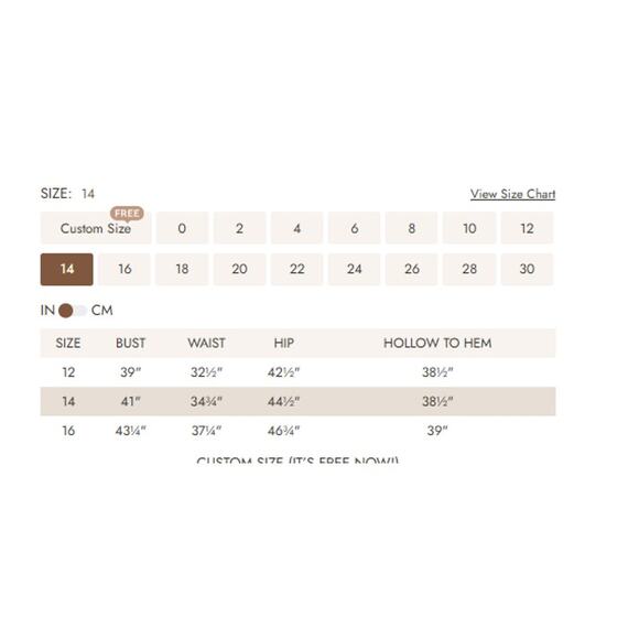 AW BRIDAL SZ 14 1x plus biscotti Leda chiffon bridesmaid party dress NEW 0b9 - Picture 5 of 5